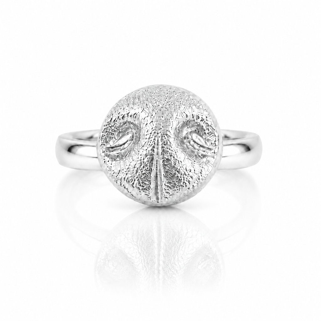 Anello Abbraccio _Silver