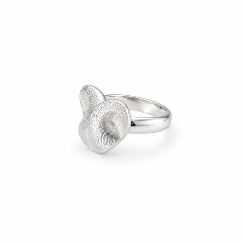 Anello Nasino