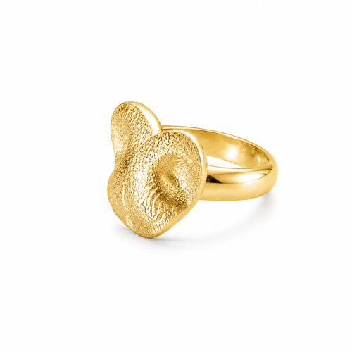 Anello Ricordo _Gold
